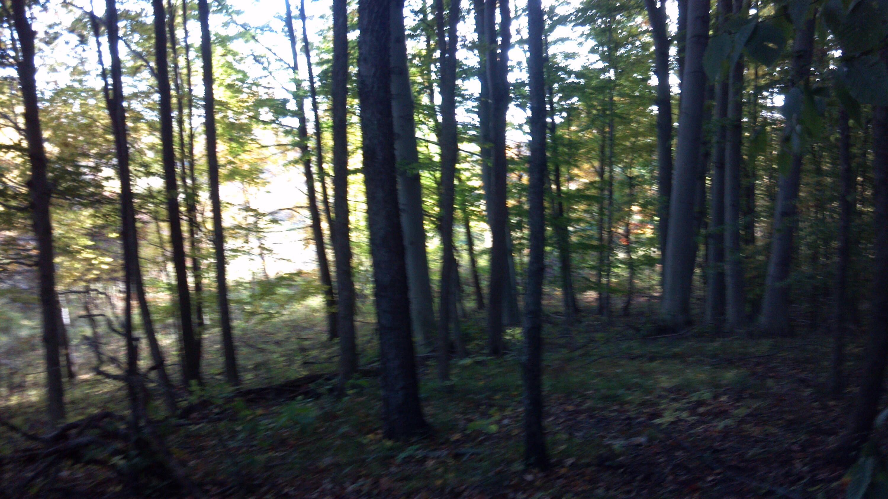 V/l Cook Road Hastings, MI 49058 - Photo 3 of 3 miller 3