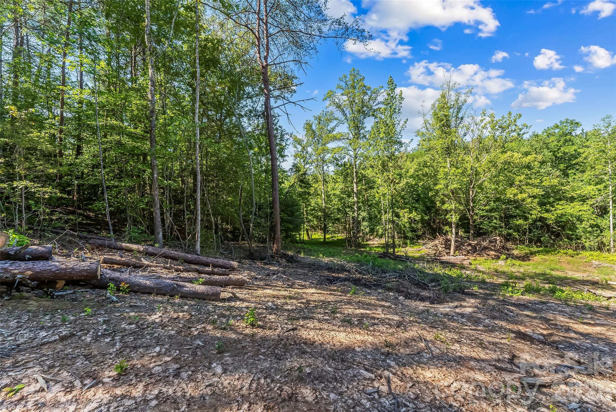 2815 Playmore Beach Road Morganton, NC 28655 - Photo 13 of 23 Gallery Image 13