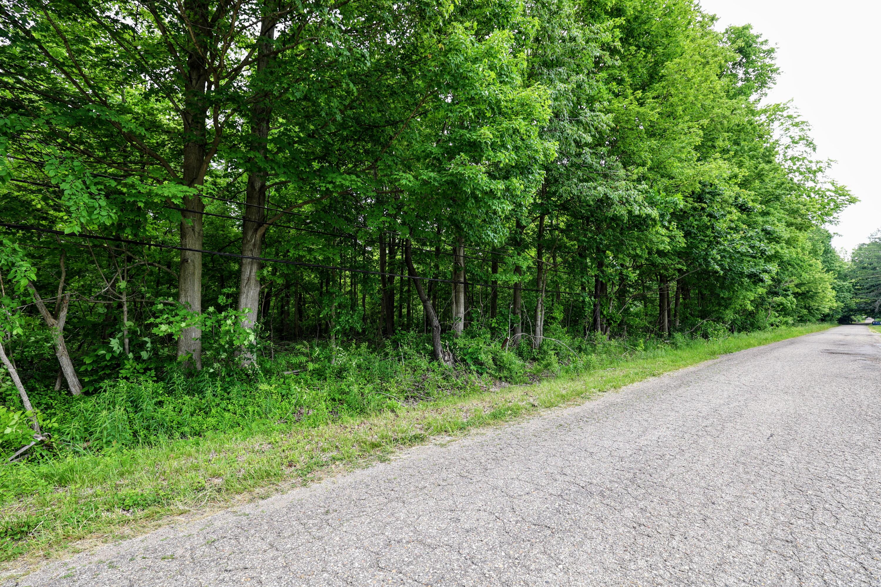 Vl Black River Road Bangor, MI 49013 - Photo 21 of 54 21