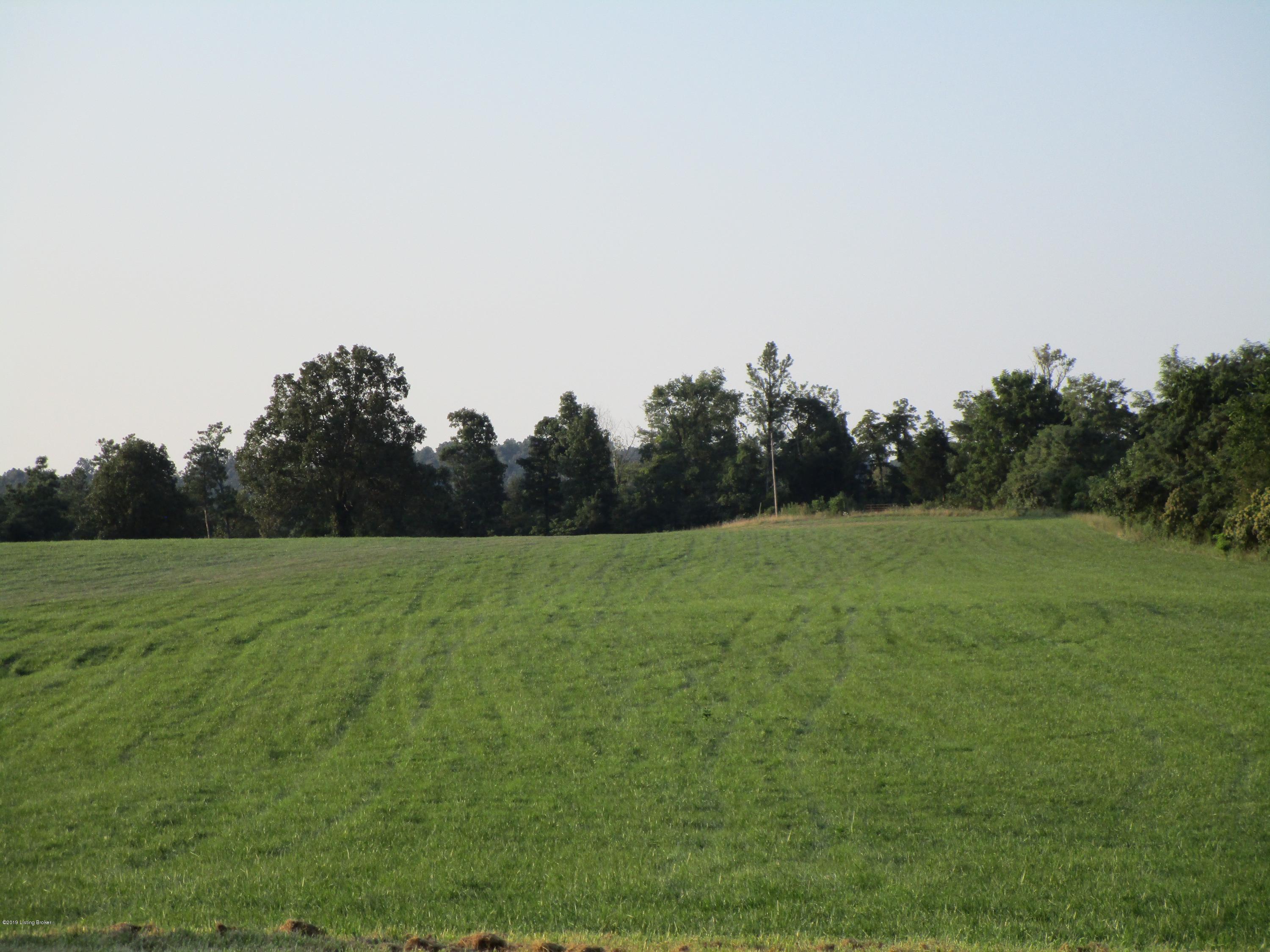 1171 Post-Hopewell Road Caneyville, KY 42721 - Photo 34 of 55 IMG_0172