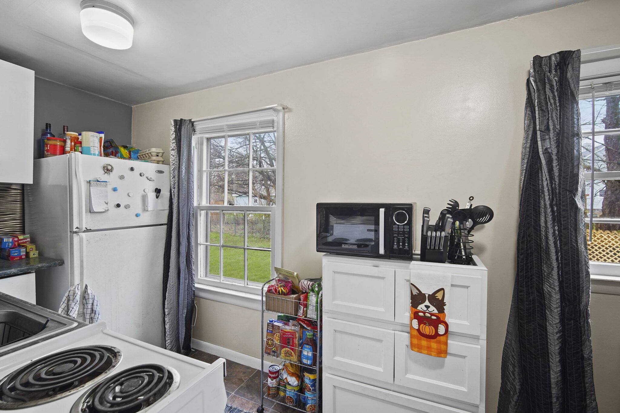 159 Moon Road Spring Arbor, MI 49283 - Photo 14 of 43 DSC01743