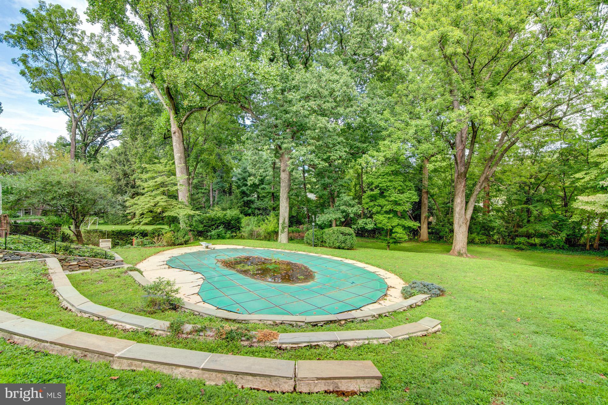 8117 Rayburn Road Bethesda, MD 20817 - Photo 28 of 30 Expansive back yard with pool