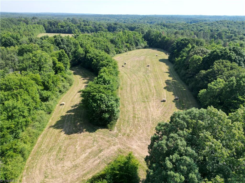 7875 Antioch Church Road Seagrove, NC 27341 - Photo 10 of 44