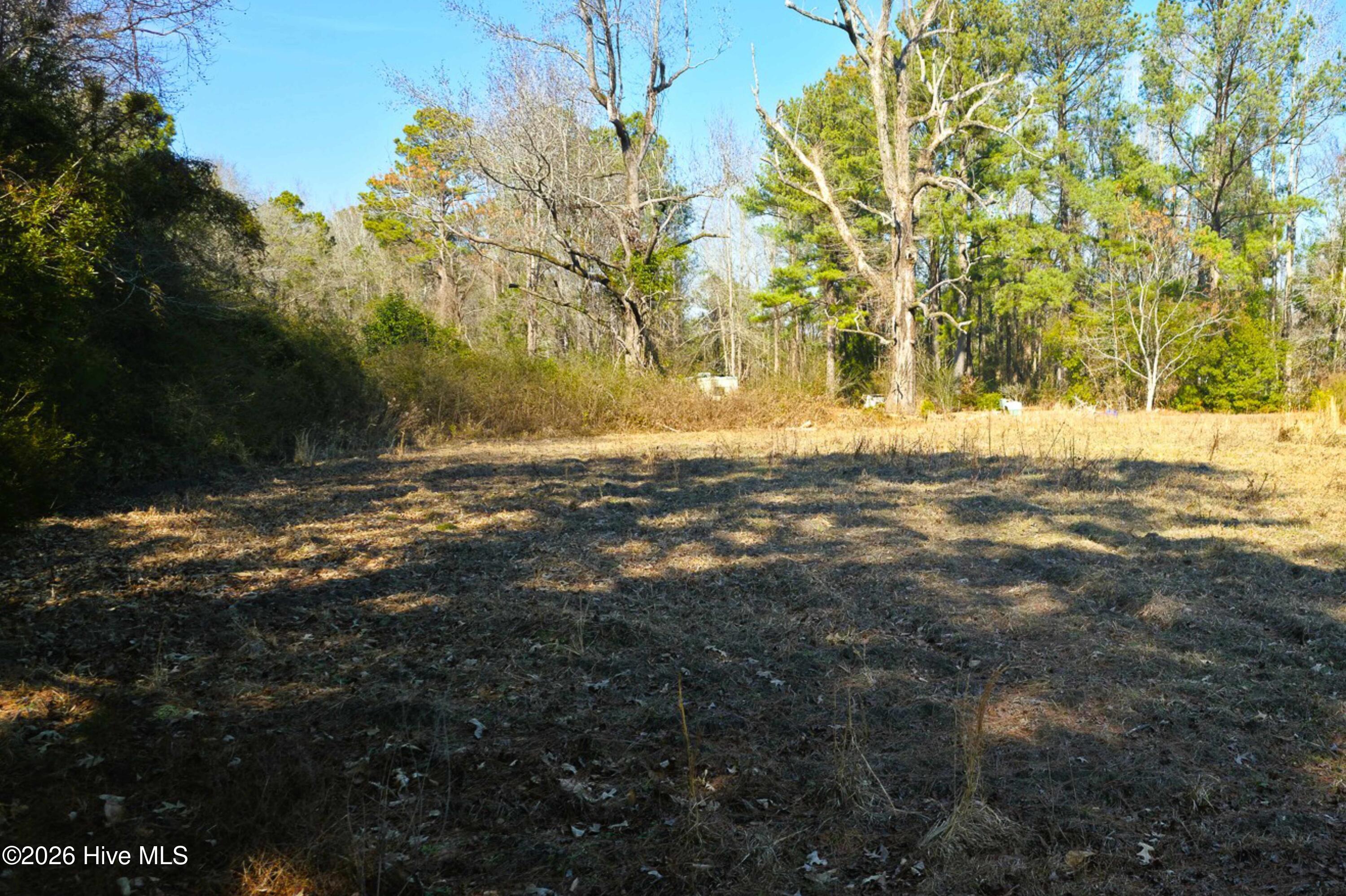 1789 Mille Christine Road Whiteville, NC 28472 - Photo 3 of 16 2