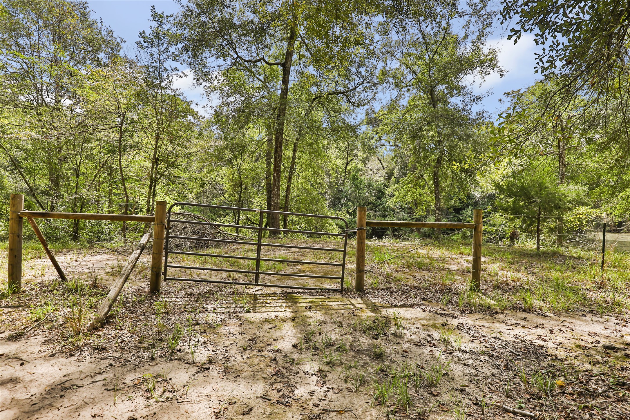 29430 East Irvin Road Huffman, TX 77336 - Photo 22 of 49 Gallery Image 22