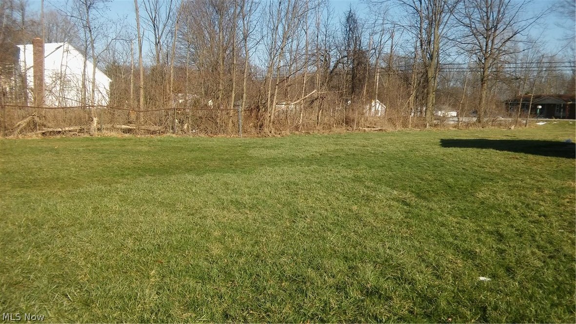 14717 Darrow Road Vermilion, OH 44089 - Photo 18 of 20 Side yard