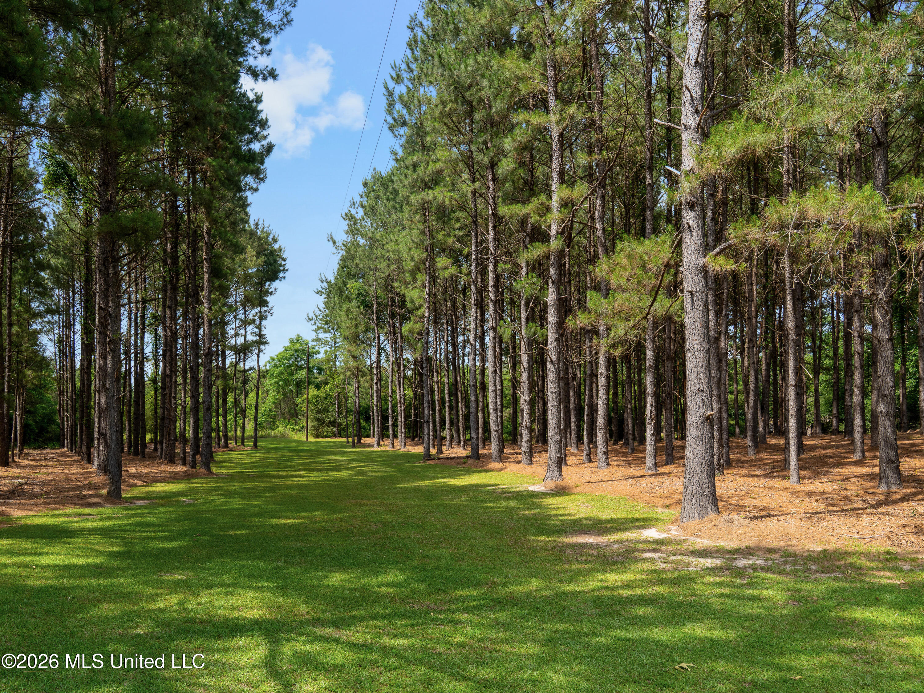 336 Toby Landrum Road Waynesboro, MS 39367 - Photo 9 of 106 A7402991
