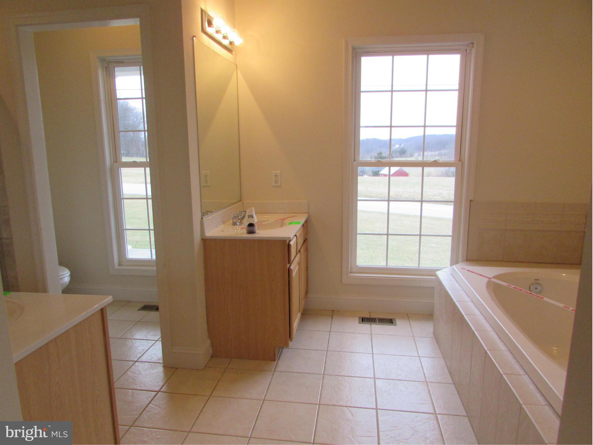 2540 Albert Rill Road Westminster, MD 21157 - Photo 14 of 30 Bath (Master) w/2 separate sinks and tile floor