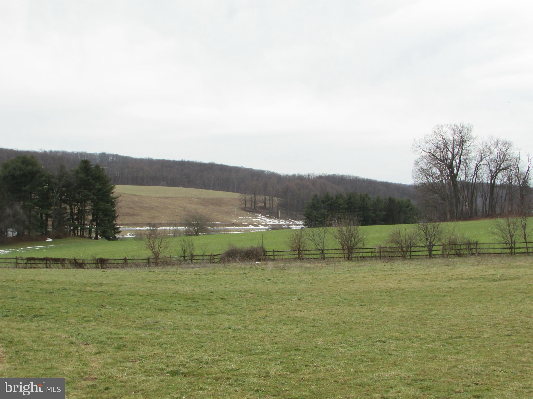 2540 Albert Rill Road Westminster, MD 21157 - Photo 28 of 30 Backyard