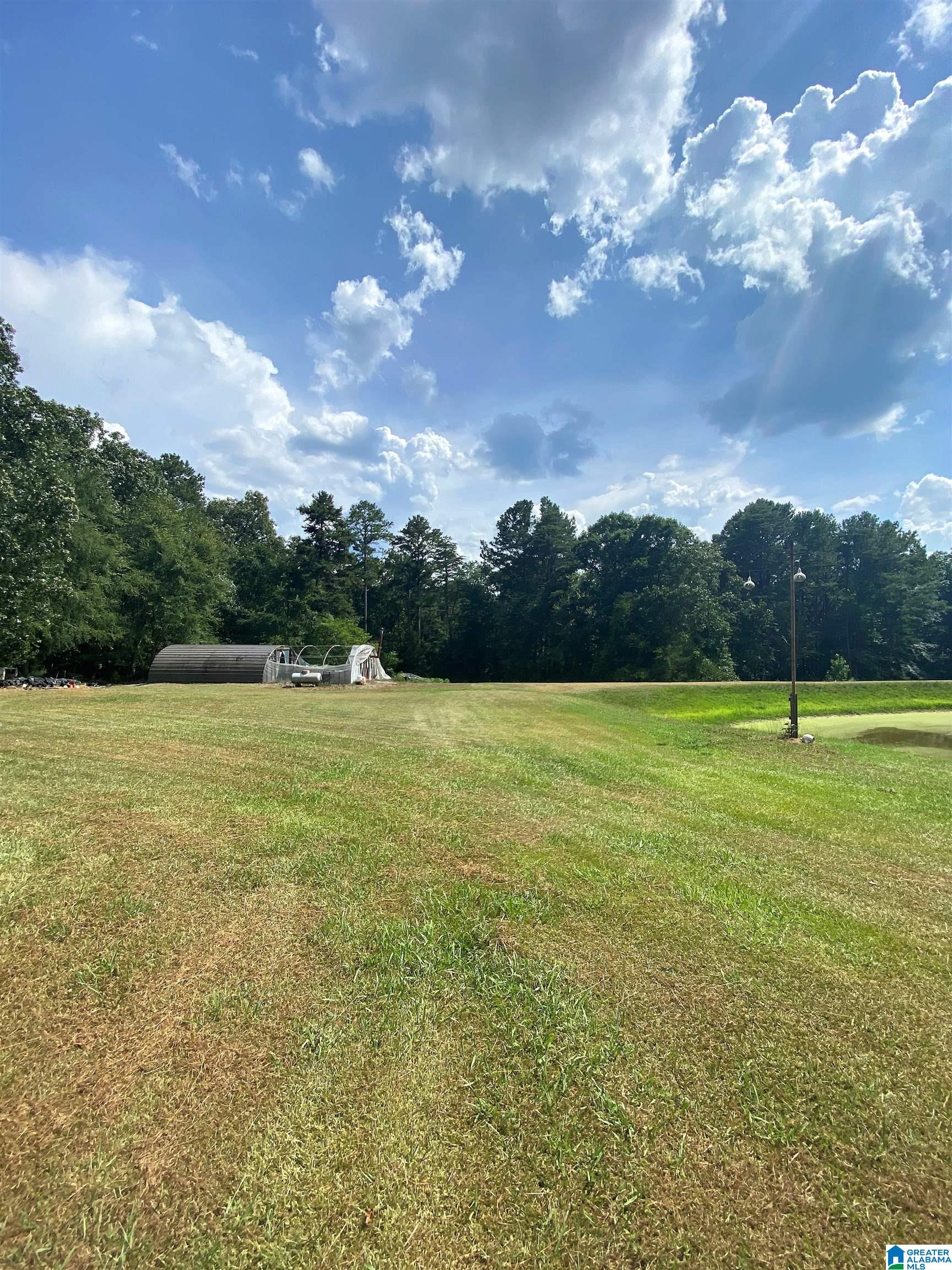 8302 Posey Road Morris, AL 35116 - Photo 29 of 30 Gallery Image 29