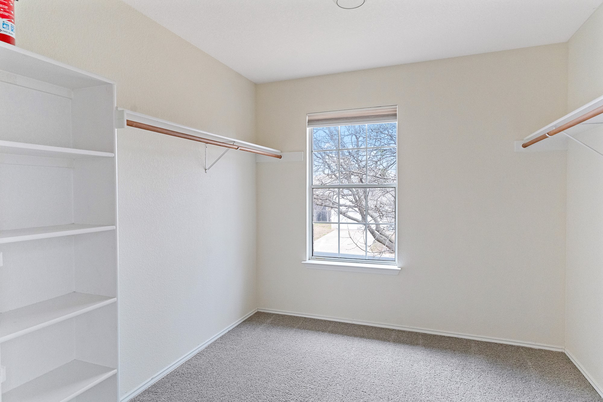 321 Nicole Way Bastrop, TX 78602 - Photo 19 of 32 Walk in closet with light colored carpet