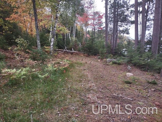 5800 Wolf Lake Road Watersmeet, MI 49969 - Photo 49 of 86