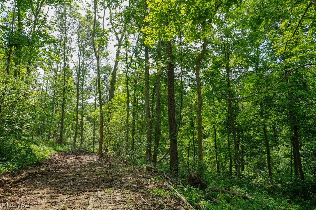 Featherstone Road Stewart, OH 45778 - Photo 7 of 35
