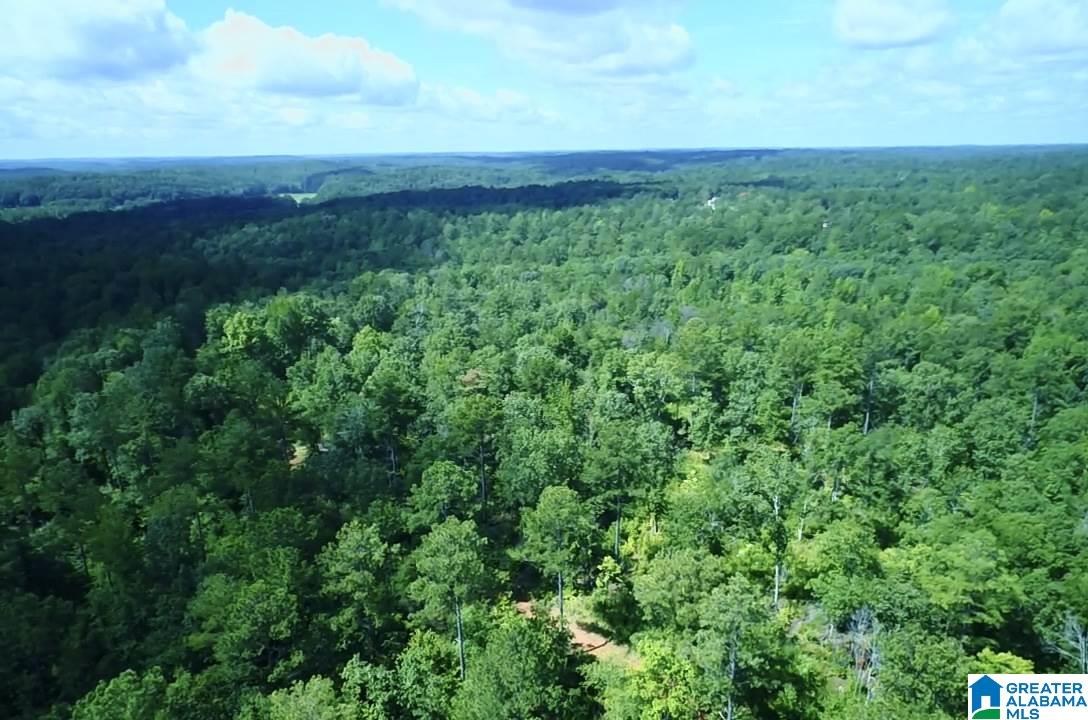 0 Brown Road Calera, AL 35040 - Photo 2 of 18