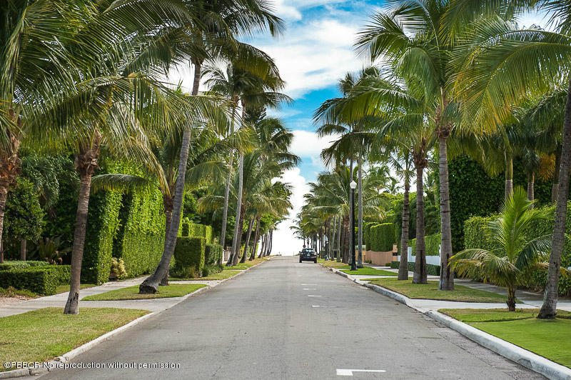 275 North County Road Palm Beach, FL 33480 - Photo 12 of 15 a view of a park with palm trees