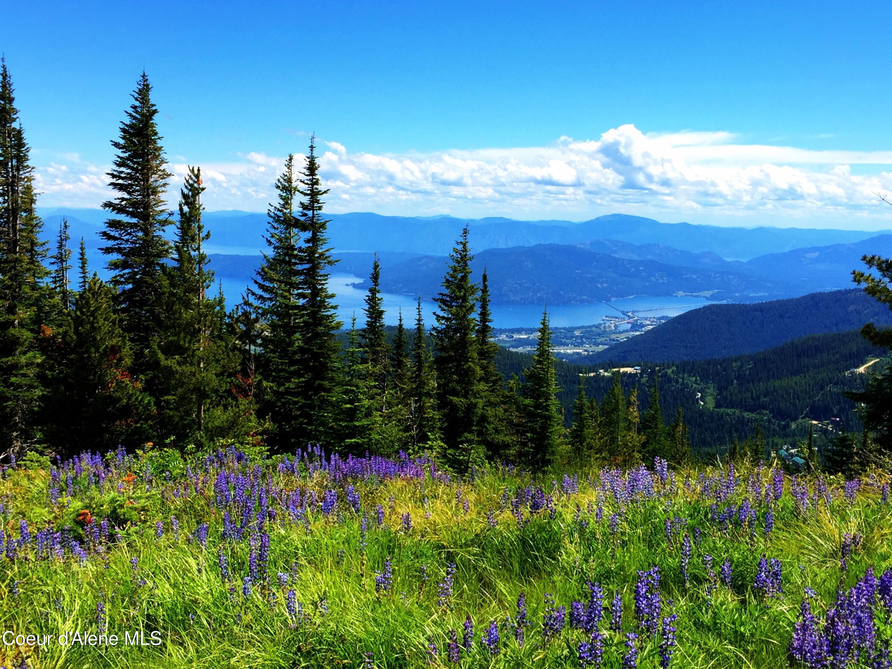 128 Mogul Hill Road, Unit 303 Sandpoint, ID 83864 - Photo 32 of 75 Schweitzer Lifestyle