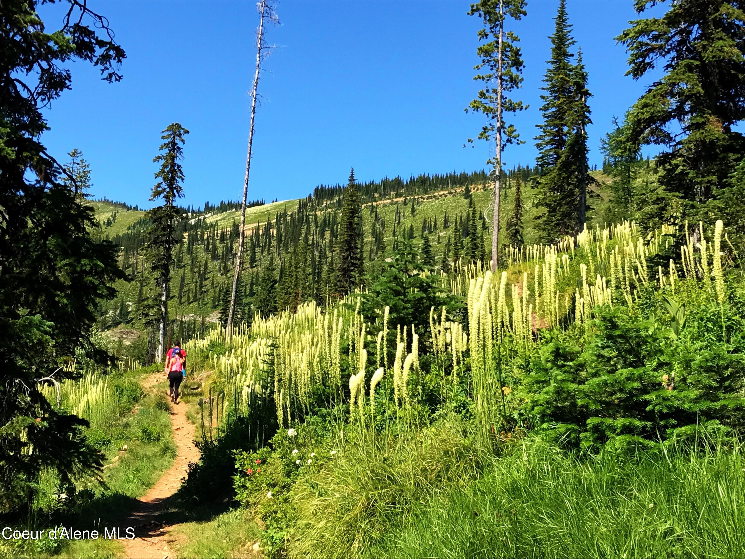 128 Mogul Hill Road, Unit 303 Sandpoint, ID 83864 - Photo 51 of 75 Schweitzer Lifestyle