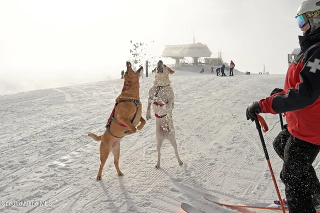 $1,275,000 | 128 Mogul Hill Road, Unit 303, Sandpoint, ID 83864