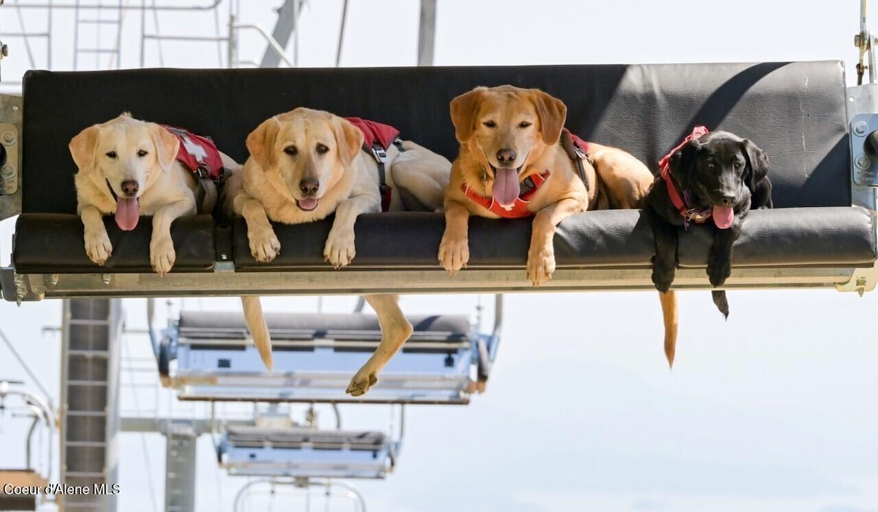 128 Mogul Hill Road, Unit 303 Sandpoint, ID 83864 - Photo 72 of 75 Schweitzer Lifestyle