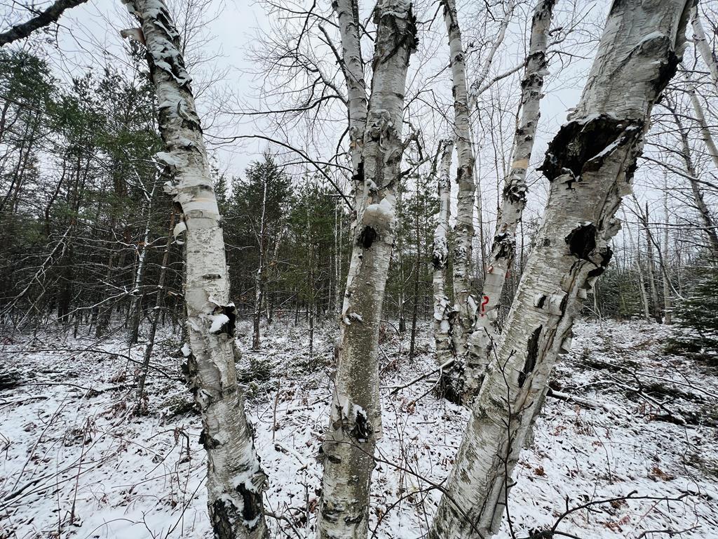 Tbd Juddville Hill Road Fish Creek, WI 54212 - Photo 1 of 31