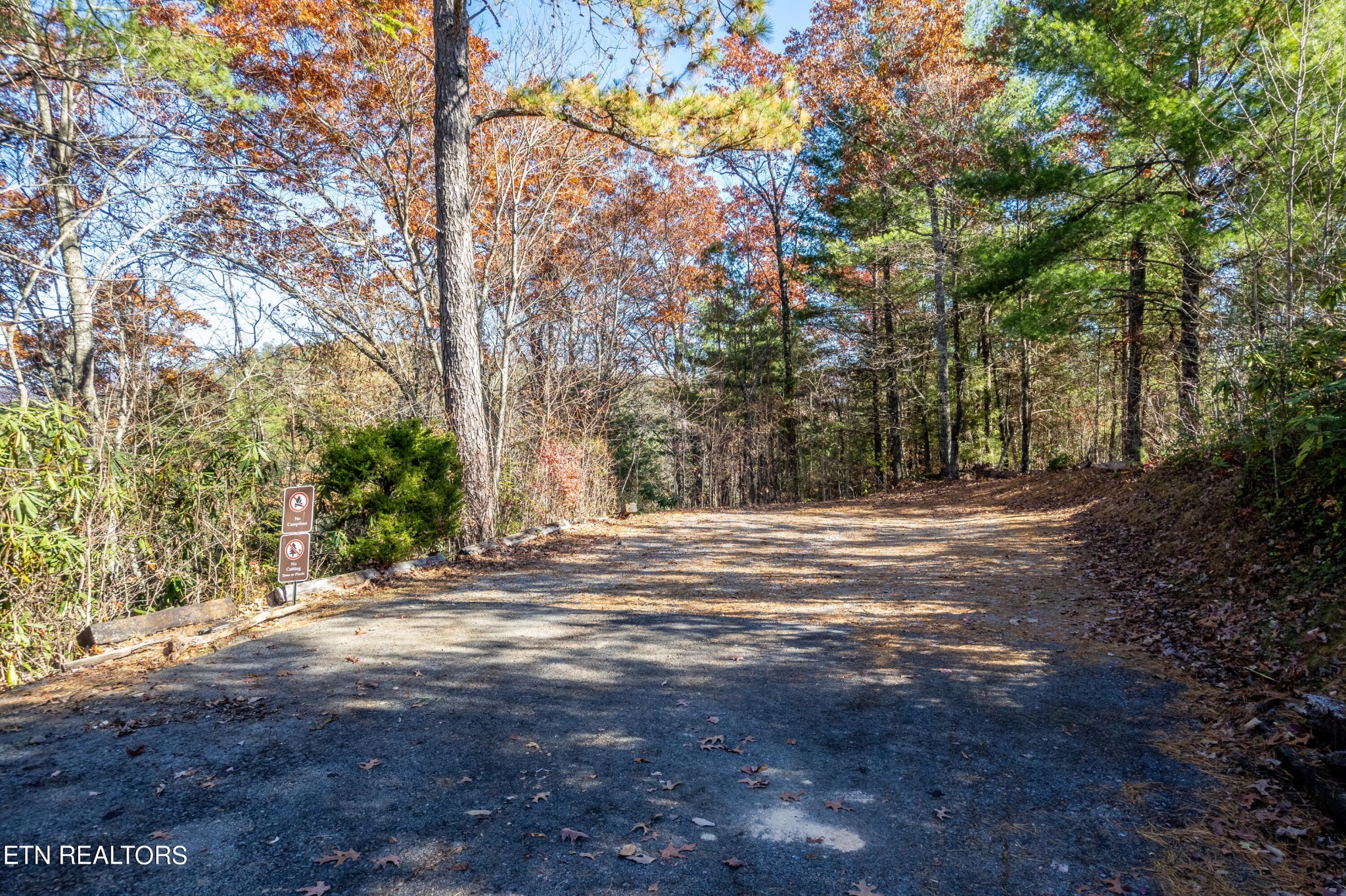 850 Stonegate Way Townsend, TN 37882 - Photo 49 of 53 Gallery Image 49
