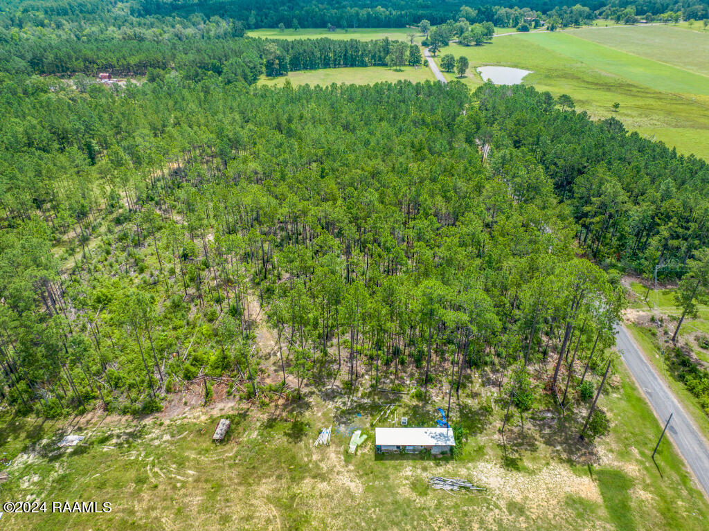 0 Horace Johnson Road Pitkin, LA 70656 - Photo 14 of 23 13