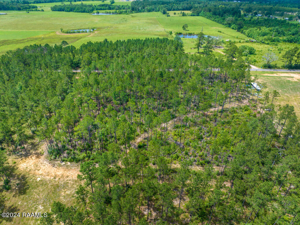 0 Horace Johnson Road Pitkin, LA 70656 - Photo 17 of 23 16