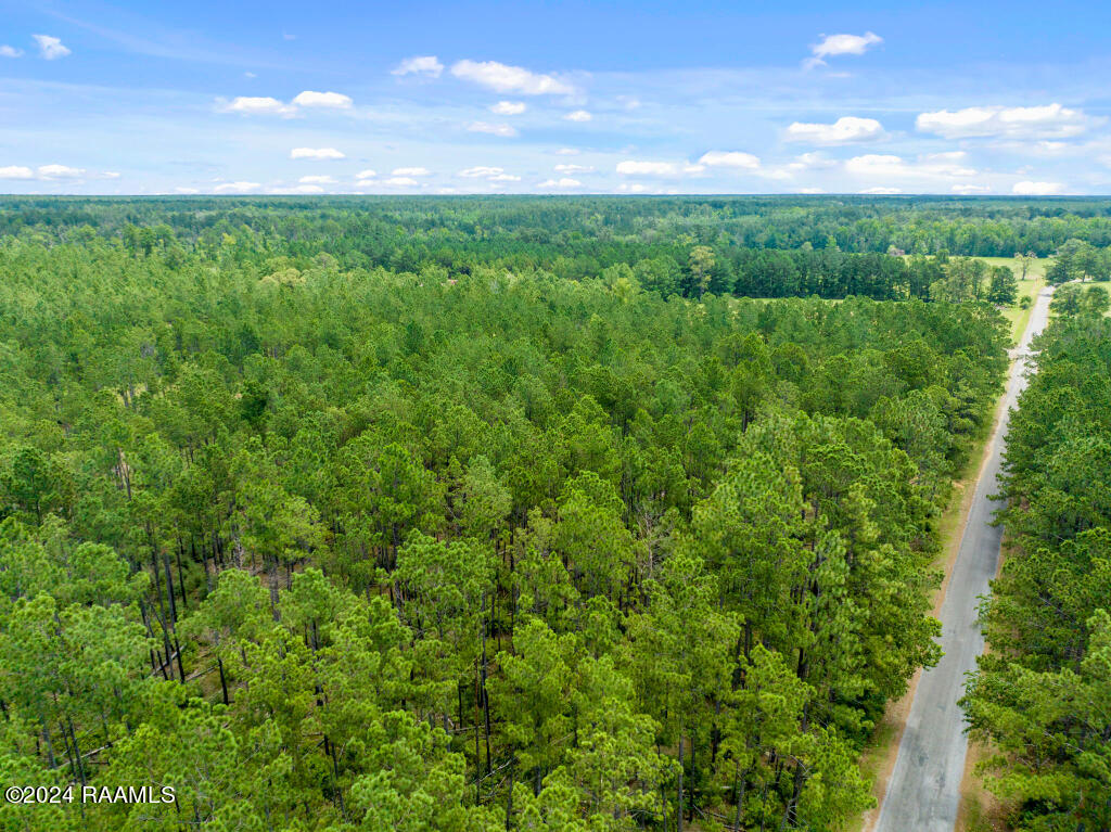0 Horace Johnson Road Pitkin, LA 70656 - Photo 19 of 23 18