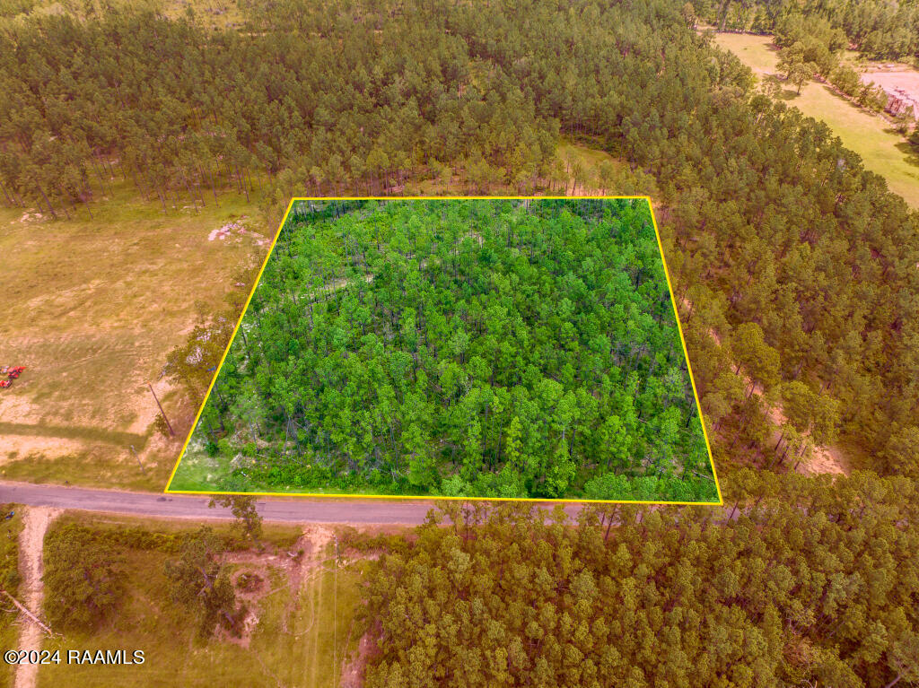 0 Horace Johnson Road Pitkin, LA 70656 - Photo 2 of 23 01