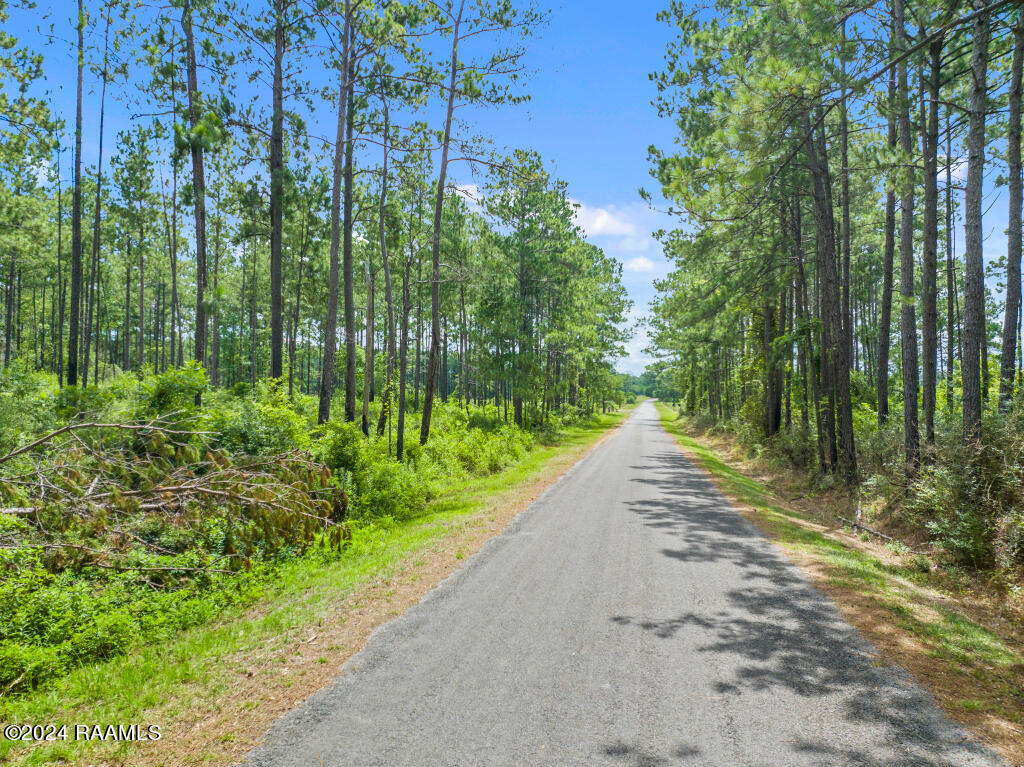 0 Horace Johnson Road Pitkin, LA 70656 - Photo 23 of 23 22