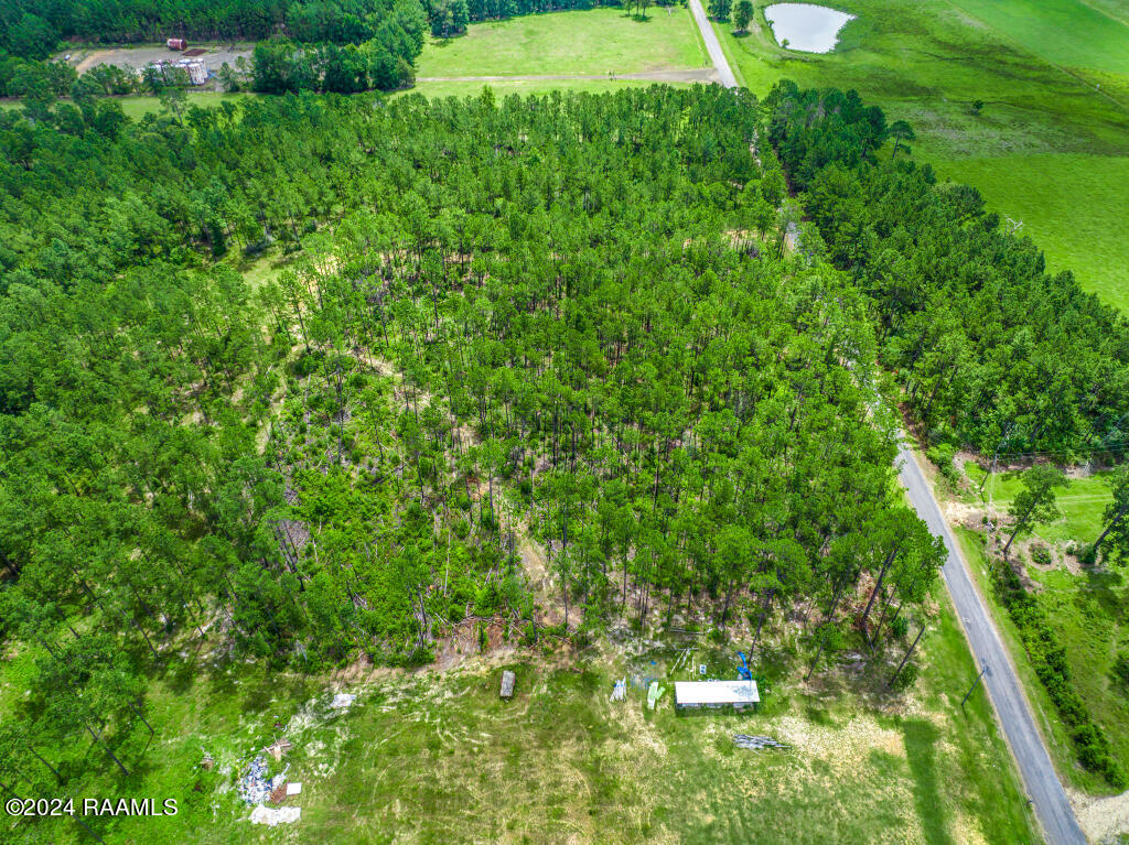 0 Horace Johnson Road Pitkin, LA 70656 - Photo 8 of 23 07