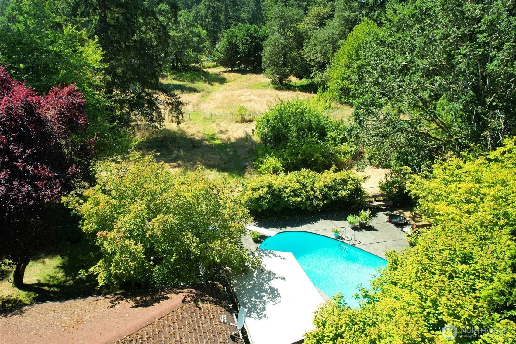 16006 Spanaway Loop Road South Spanaway, WA 98387 - Photo 6 of 8 a view of a garden with large trees