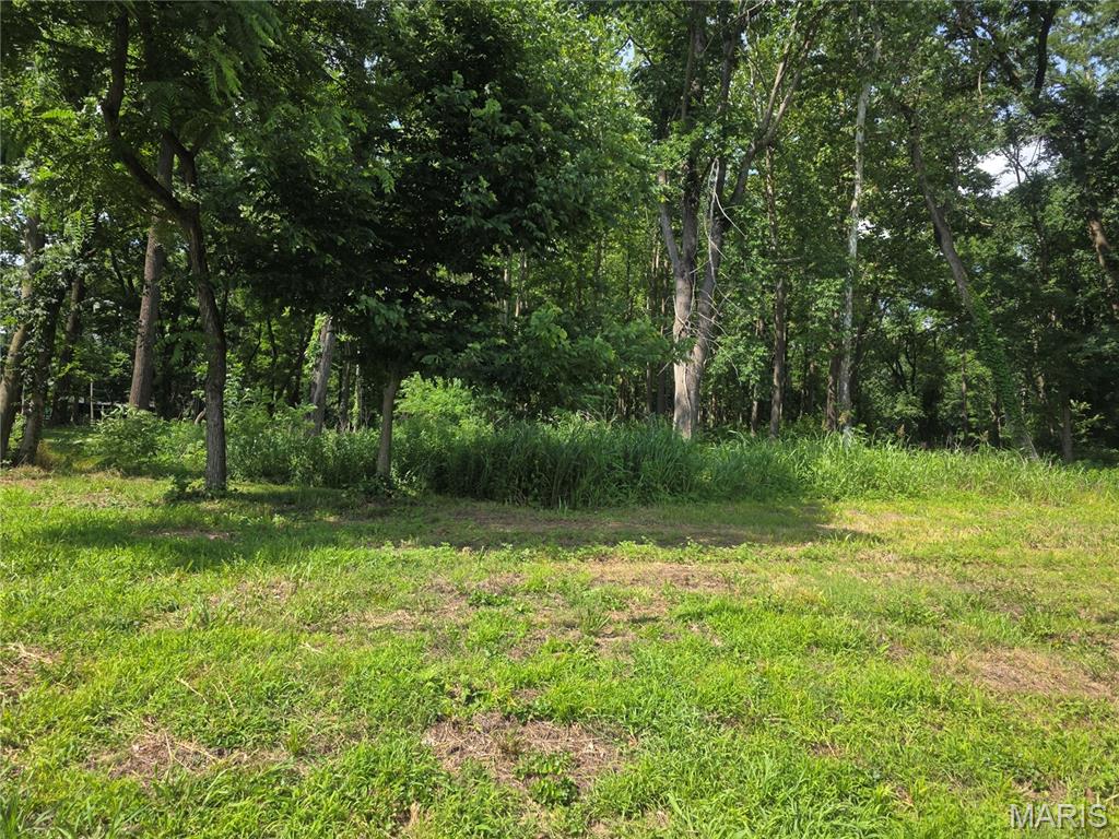 Xxx Briar Hill Road Belleville, IL 62223 - Photo 4 of 8