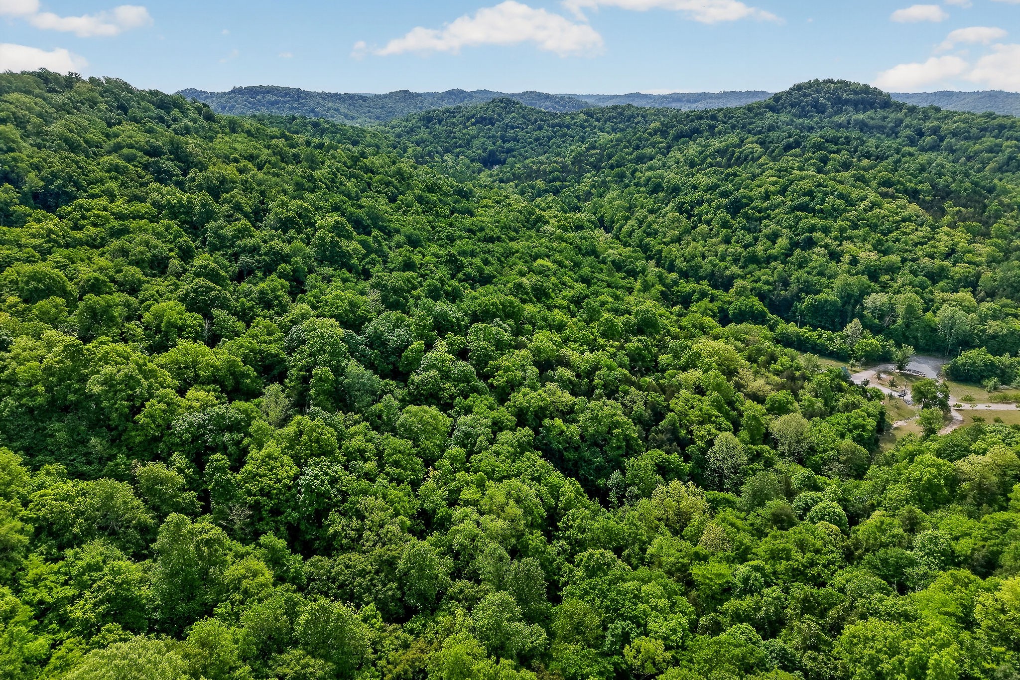 4830 Ensor Hollow Road Granville, TN 38564 - Photo 7 of 61
