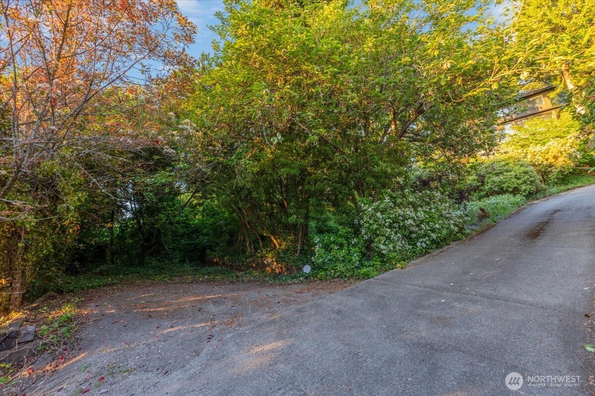 16015 Inglewood Road Northeast Kenmore, WA 98028 - Photo 34 of 37 a view of a field with plants and trees