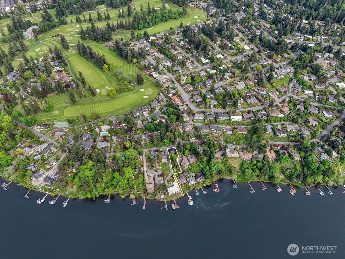 16015 Inglewood Road Northeast Kenmore, WA 98028 - Photo 36 of 37 a picture of a tree