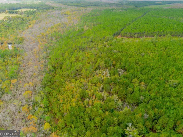 a view of yard with green space