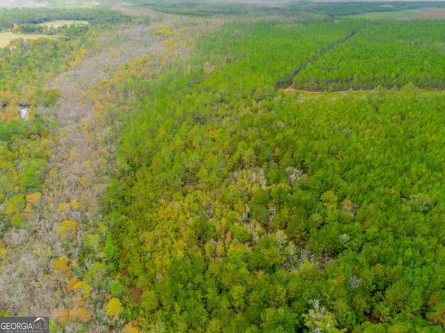 $330,000 | 1690 Smith Road, Waycross, GA 31503