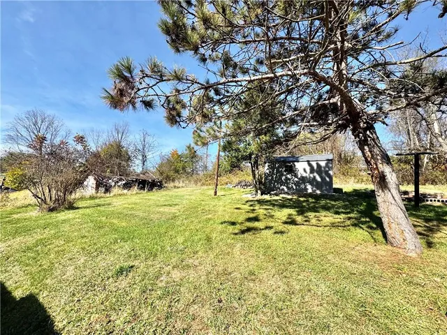 a view of a yard with a tree