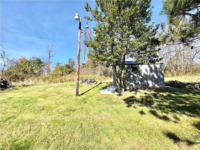 a view of yard with trees