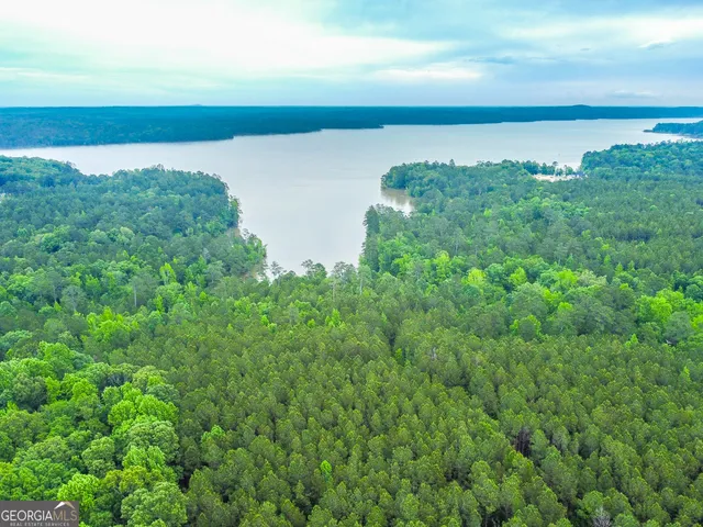 $39,000 | 1078 Chennault Drive, Tignall, GA 30668