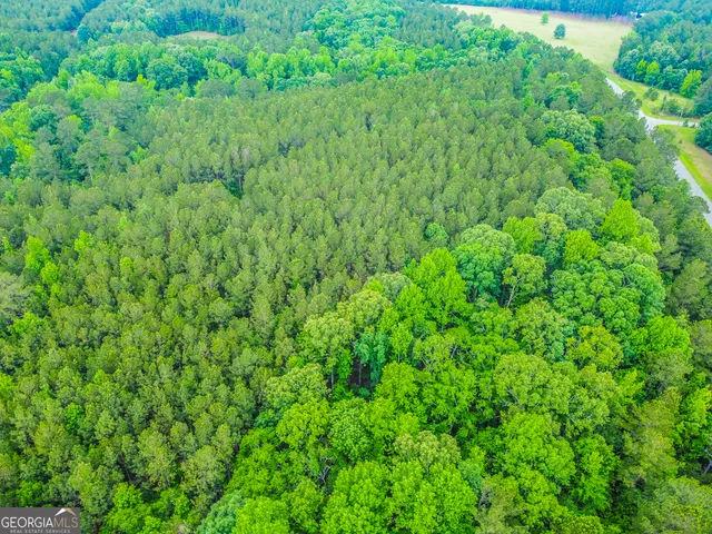 $38,000 | 1078 Chennault Drive, Tignall, GA 30668