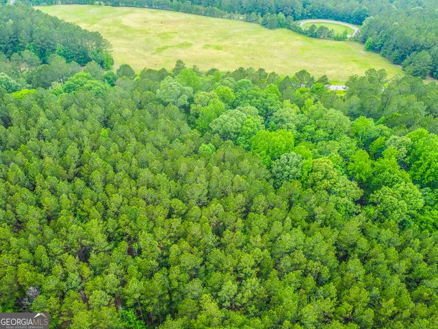 $38,000 | 1078 Chennault Drive, Tignall, GA 30668