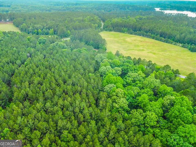 $38,000 | 1078 Chennault Drive, Tignall, GA 30668