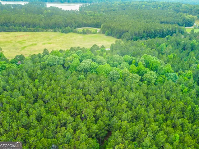 $38,000 | 1078 Chennault Drive, Tignall, GA 30668