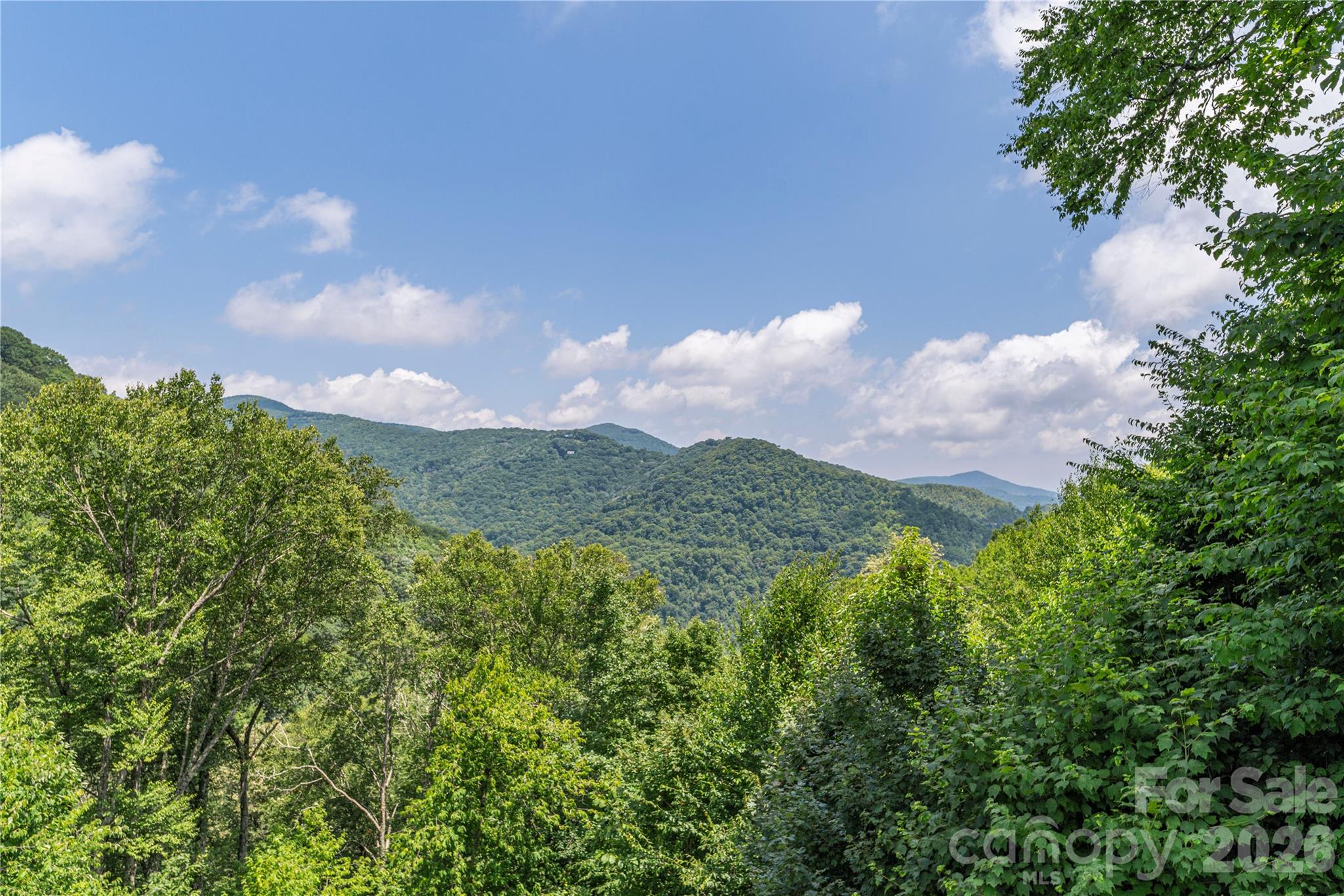 92 Bobcat Road Maggie Valley, NC 28751 - Photo 19 of 27 Gallery Image 19