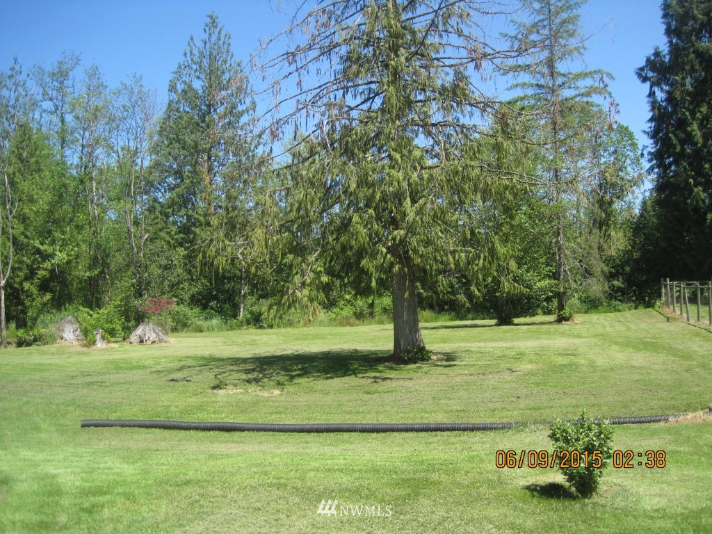 262 Burchett Road Onalaska, WA 98570 - Photo 12 of 16 Gallery Image 12