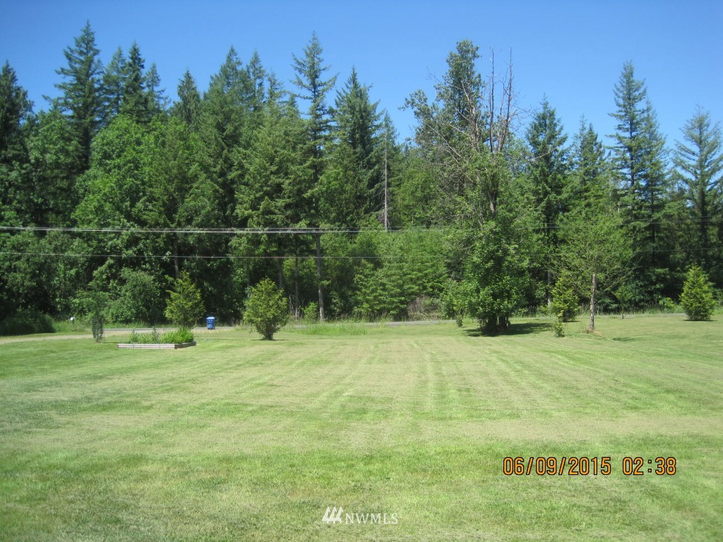 262 Burchett Road Onalaska, WA 98570 - Photo 13 of 16 Gallery Image 13