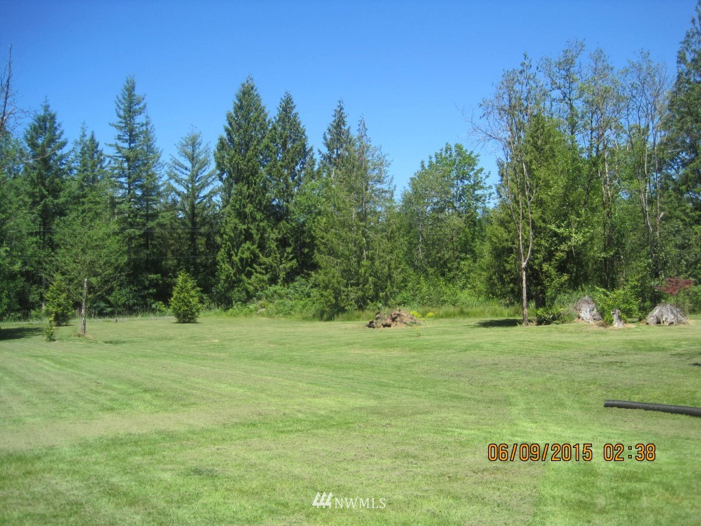262 Burchett Road Onalaska, WA 98570 - Photo 14 of 16 Gallery Image 14