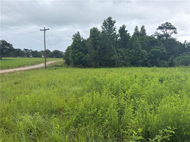 0 East Bell Road Amite, LA 70422 - Photo 2 of 8